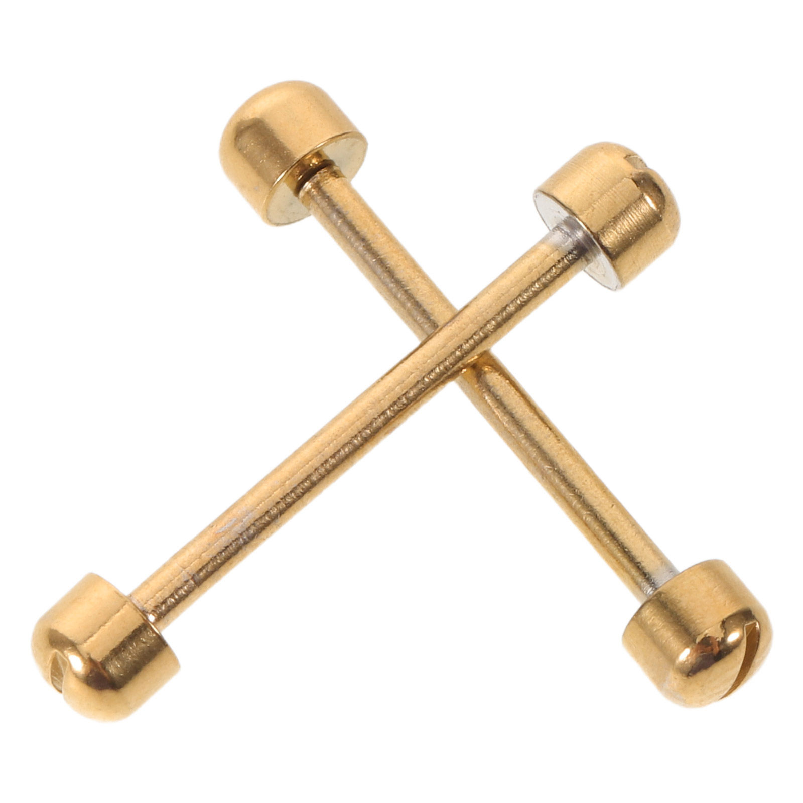 2 pezzi di perni a vite per ci - Replacement Watch Bracelet recensione e prezzo
